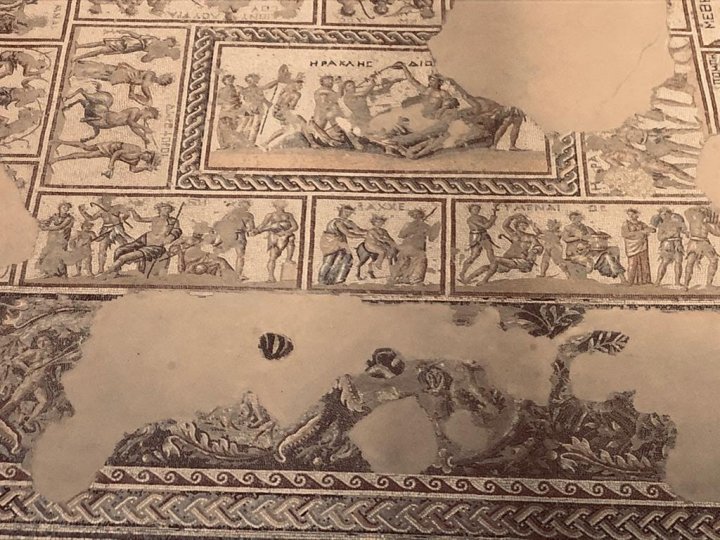 פסיפס ציפורי